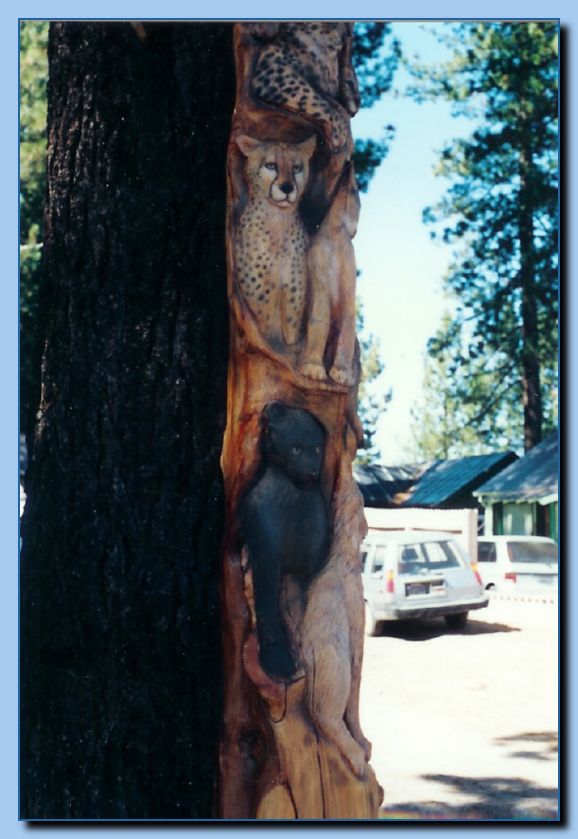 2 087 Totem Non Traditional Feline Pole Archive 008